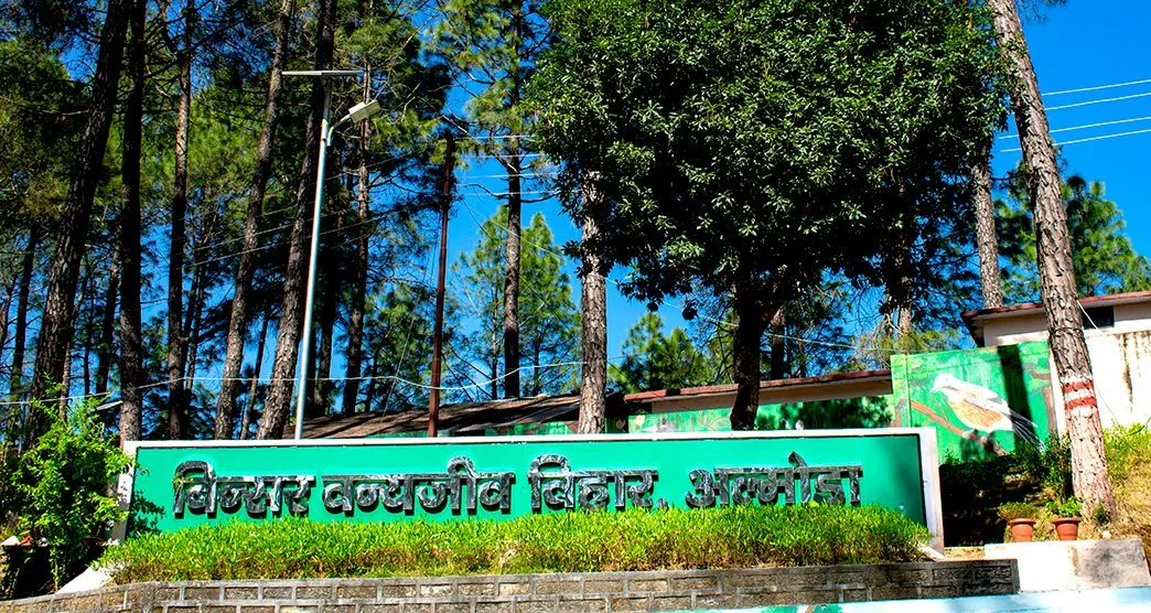 Binsar Wildlife Sanctuary surrounded by lush forests